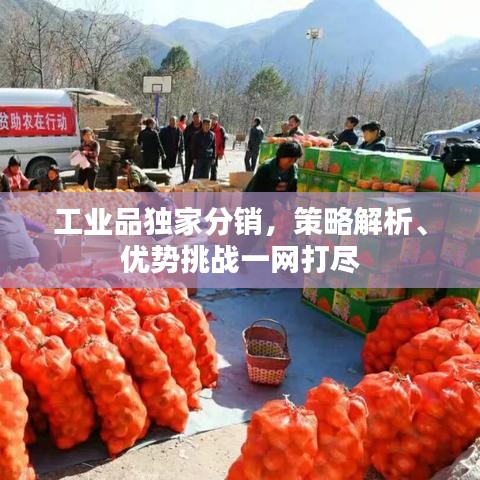 dayajunzi 第7页