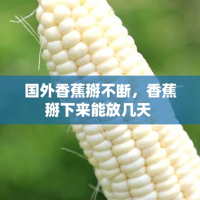 橘虞初梦 第7页