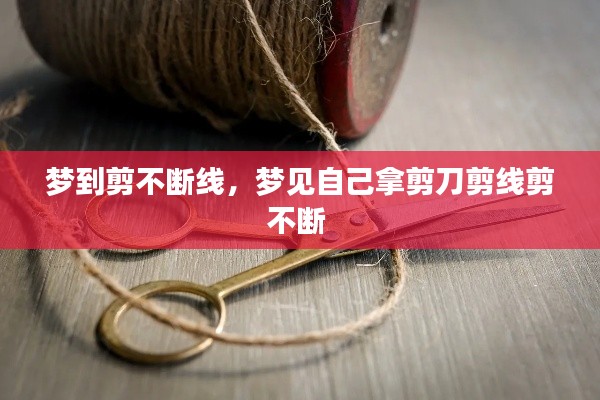 bupiwaqi 第6页