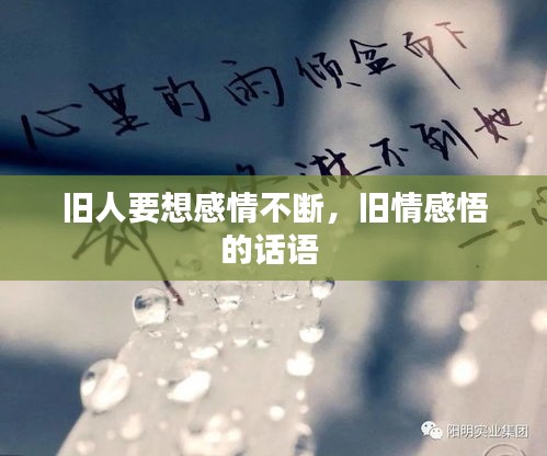 hongfeixuezhua 第6页