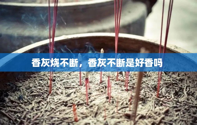 新闻 第113页