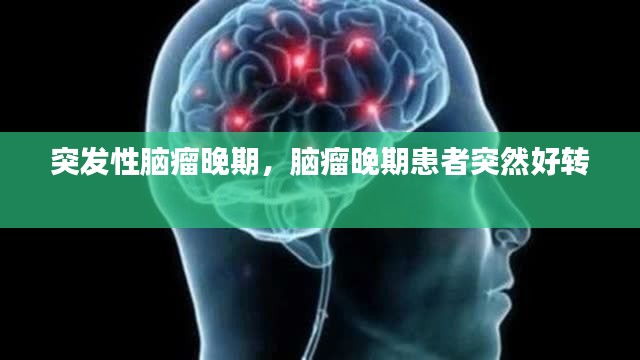 zhizhengzhaoxi 第7页