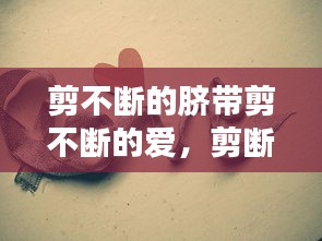 sideiqisuo 第5页