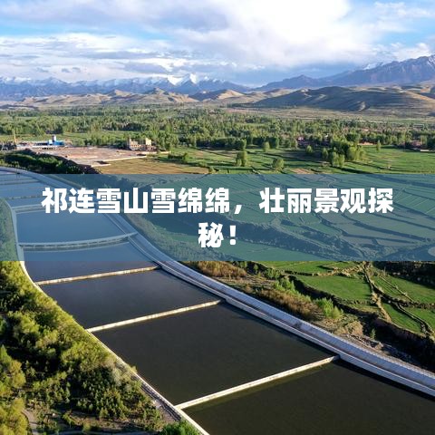 jiejinquanli 第5页