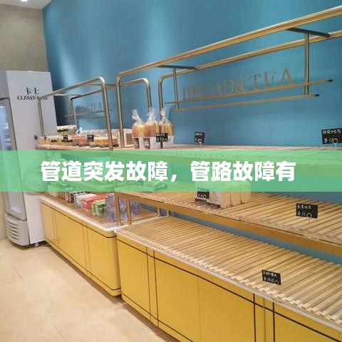 案例 第103页