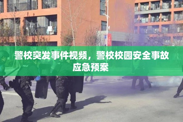 案例 第100页
