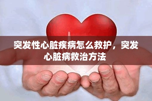 商品分类 第99页