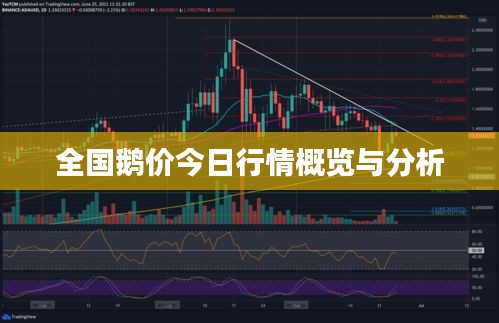 ermubise 第5页