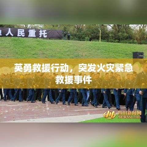 走马观花 第5页