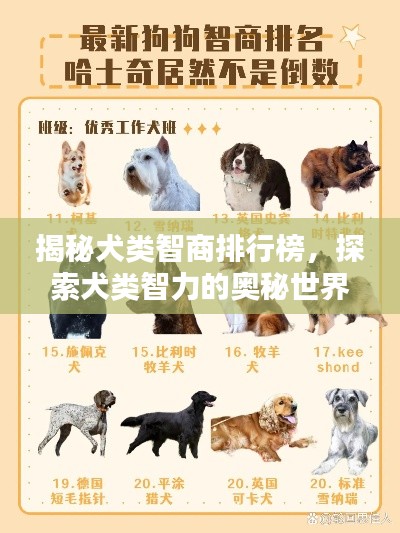 huanpufangu 第6页