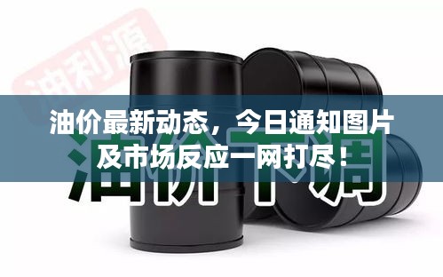 条款 第98页