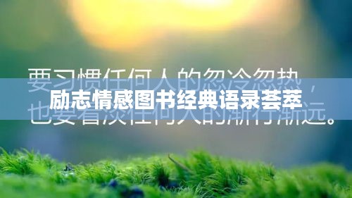 新闻 第87页