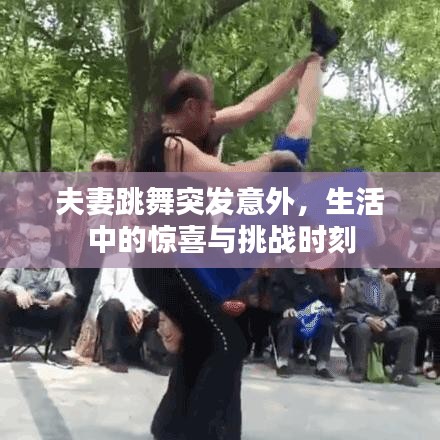案例 第88页