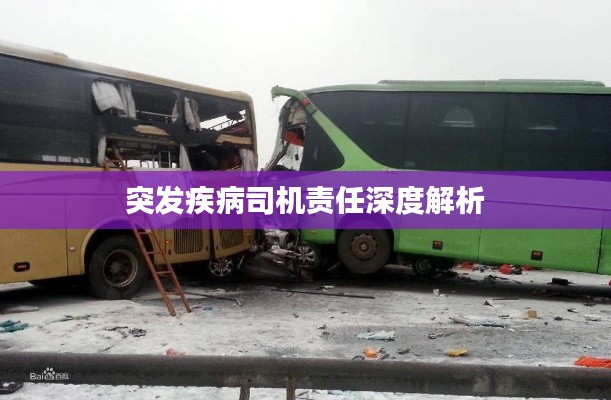 gaixianyizhang 第5页