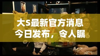 评价 第85页