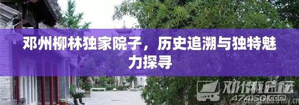 chenmuzhangdan 第5页