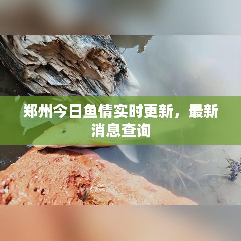 商品分类 第76页