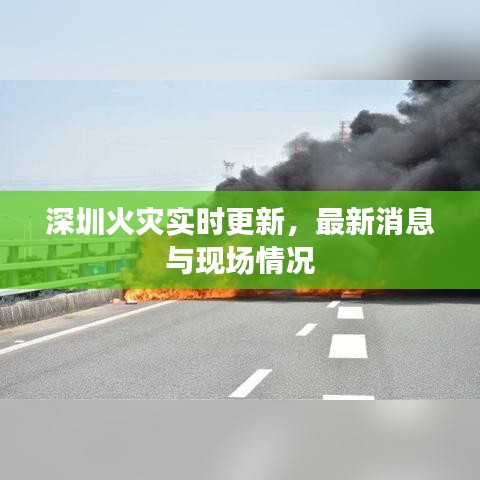 案例 第72页