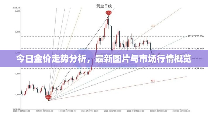 第417页