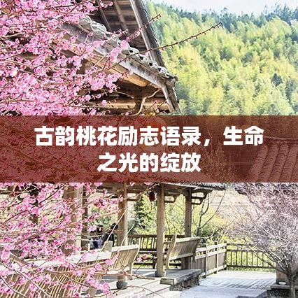 huaxiangniaoyu 第4页