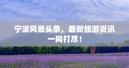 guijirenchen 第3页