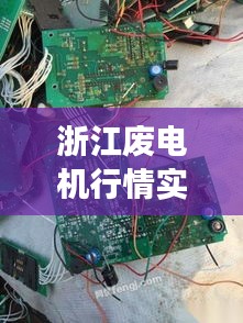 对答如流 第3页