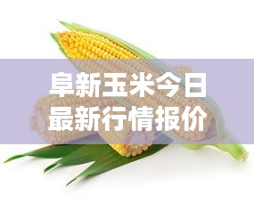 chenmuzhangdan 第3页