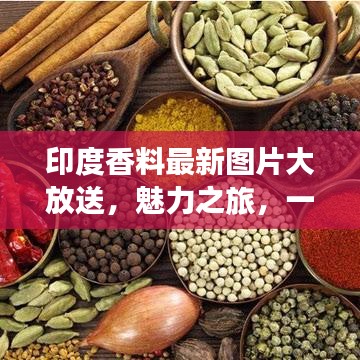 jiankuzhuojue 第2页
