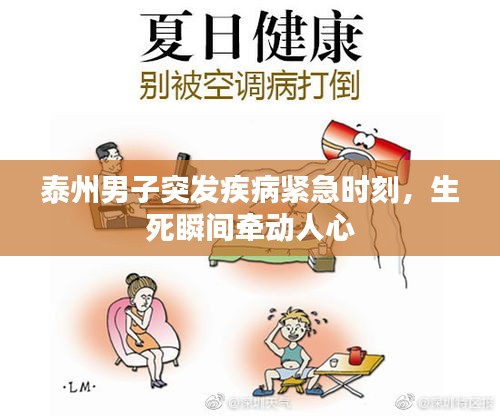 条款 第13页