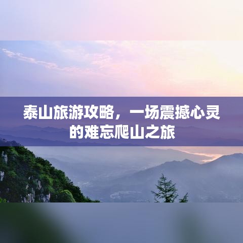 评价 第5页
