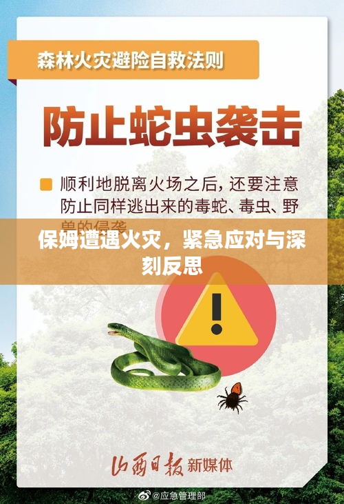 保姆遭遇火灾，紧急应对与深刻反思