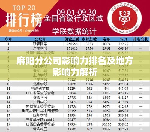 麻阳分公司影响力排名及地方影响力解析