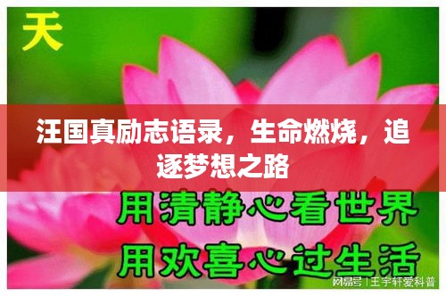 汪国真励志语录，生命燃烧，追逐梦想之路